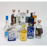 Box 40 - Gin Clouded Leopard Mango Gin Skellig Six 18 Gin Herno Juniper Cask Gin Byron's Bird