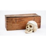 Anatomy - an early 20th century partial human skeleton, including skull, contained in a pine box,