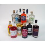 Box 29 - Gin Wessex Spiced Gin Elg Sloe Gin Northern Fox Liquorice Root Gin Red Gold Gin Old Dutch