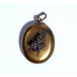 A Victorian gold, diamond and ruby set oval pendant locket, the front with a fly motif,