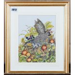 Joyce Rogerson (British, 20th Century), A hedgehog foraging, signed 'Joyce Rogerson' (lower right),