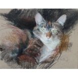 Neil Forster (British, 1940-2016), Cat,