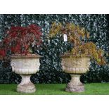 A pair of reconstituted stone planters with lion mask and ring handles on turned socles,
