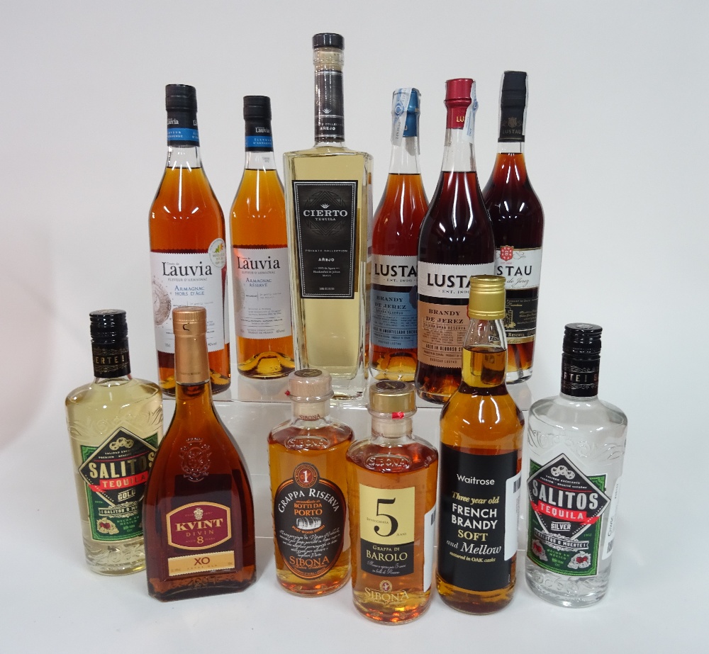 Box 18 - Mixed Spirits Cierto anejo Tequila Kvint XO Sibona Reserva Grappa Lustau Reserva Brandy