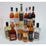 Box 18 - Mixed Spirits Cierto anejo Tequila Kvint XO Sibona Reserva Grappa Lustau Reserva Brandy