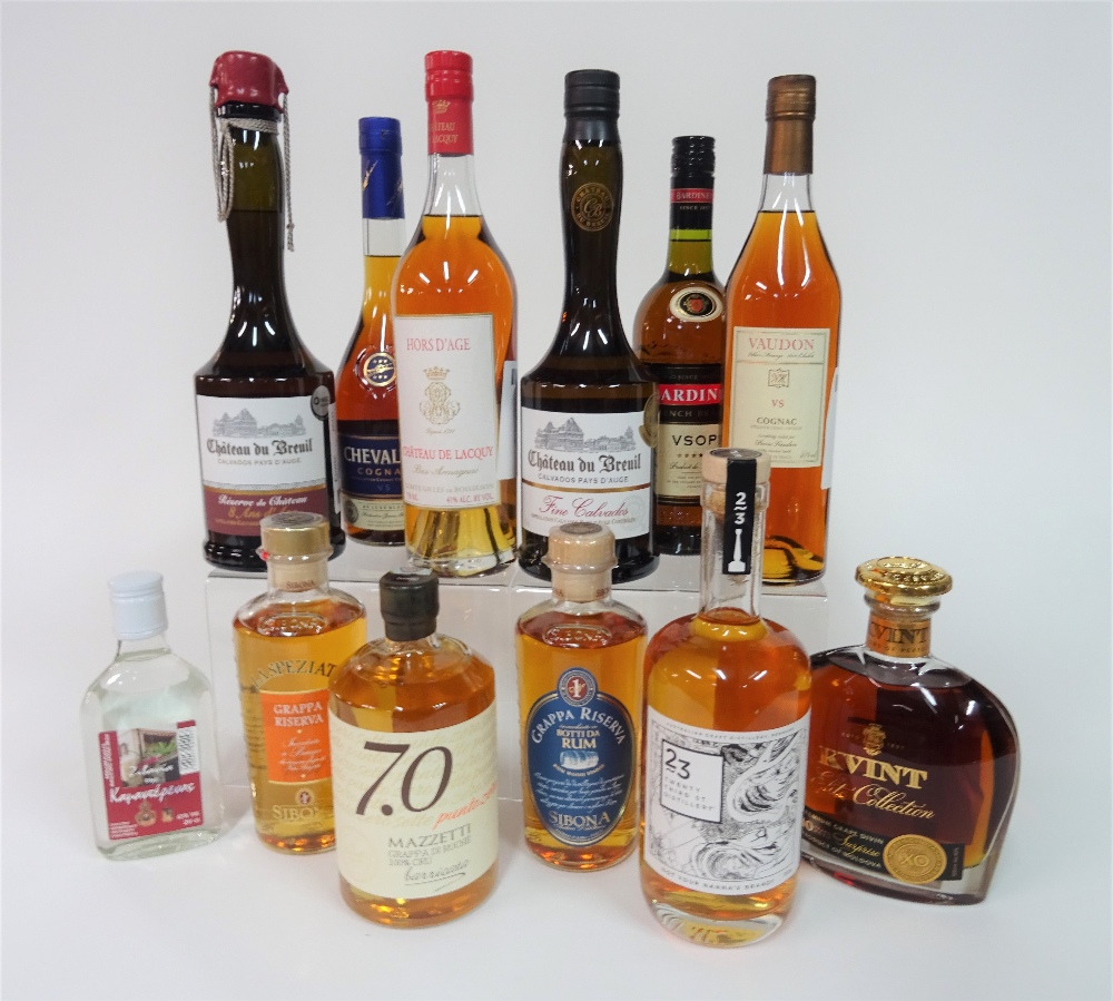 Box 3 - Mixed Spirits Chateau du Breuil Calvados Bardinet VSOP Kvint XO Grappa di Ruche Grappa