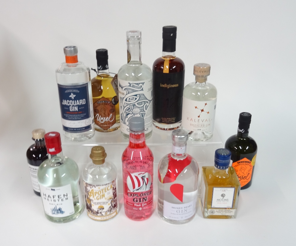 Box 42 - Gin Ursel dark forest Gin 9 Moons solera reserve Gin Broken Heart Gin Explorer pink Gin