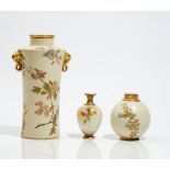 A Royal Worcester vase, circa 1892, of gently waisted form,