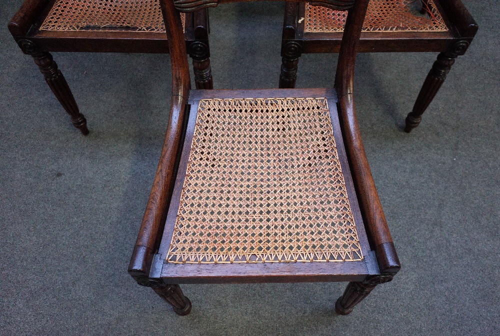 A set of six William IV rosewood bar back dining chairs on reeded supports, 47cm wide x 84cm high. - Image 4 of 6