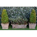 A pair of square pre-cast terrace urns, 40cm square x 35cm high, planted,