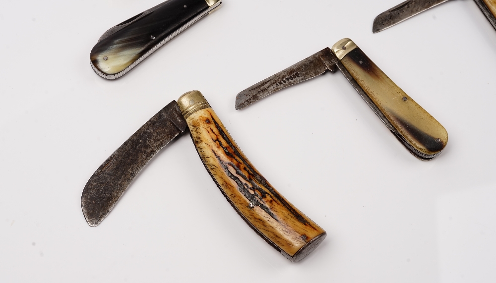 A group of nine bone handled pocket knives, including examples by Saynor, - Bild 2 aus 5