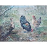 J** M** (20th century), Goat and poultry; Poultry, a pair, both signed with monogram, oil on board,