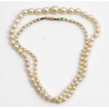 A single row necklace of graduated cultured pearls, on a gold cylindrical clasp, detailed 9 CT,
