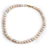 A single row necklace of varicoloured pale tinted cultured pearls, on a 9ct gold oval clasp,