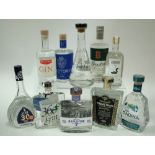 Box 40 - Gin (10 Bottles) Azor Gin Himbrini Winterbird Gin Navy Strength Prohibition