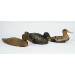 Three decoy ducks.