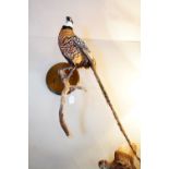 A taxidermy pheasant, mounted on a branch, on a wooden back plate.