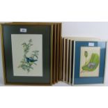 Rena Fennessy (20th century) - Four pencil signed limited edition ornithological prints,