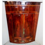 A superb quality georgian mahogany bow fronted corner cupboard , with double arch panelled doors ,