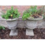 A pair of very decorative reconstituted stone garden urns complete with mature herbs! Condition
