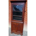 A large 19th Century corner cupboard with a glazed single door to top over two panelled cupboard