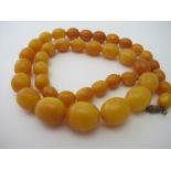 A vintage graduated butterscotch amber necklace, approx 22" long, centre bead approx 18mm across.