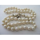 A good pearl necklace with 61 individually knotted pearls and having a 9ct gold and pearl clasp,