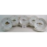 14 mixed Richard Ginori Italian porcelain plates depicting different species of fish.