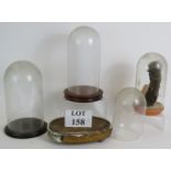 Four various glass domes, two with bases, plus an antique oval dome base. Tallest: 30cm.