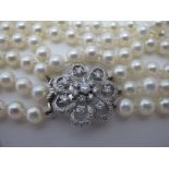 A superb three strand pearl necklace,