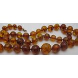 An amber necklace of 45 circular individ