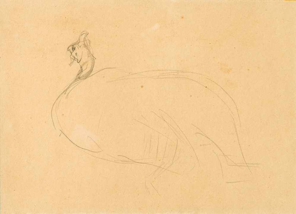 Henri de Toulouse-Lautrec1864–1901Dindon1899Bleistift auf Papier auf Karton17 x 23,4 cmMaurice