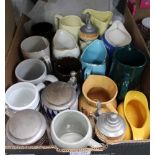 A BOX CONTAINING A SELECTION OF COLLECTOR'S BEER STEINS AND BRANDED WATER JUGS