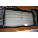 A WALL MOUNTABLE DISPLAY CASE fitted five display shelves