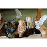 A SELECTION OF MODEL BIRDS to include kingfishers and owls