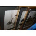 FIVE VARIOUS ORNITHOLOGICALLY THEMED PRINTS to include a signed limited edition of a pheasant, by "