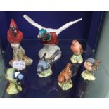 A SELECTION OF BESWICK BRANDED BIRDS