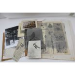 A COLLECTION OF GEORGE EDWARD LODGE EPHEMERA, includes; photographs, greetings cards, engravings