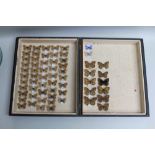 DAVID L KENINGALE An early Victorian buckram' bound entomological case in the form of a book with