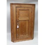 A 19TH CENTURY PINE WALL HANGING CORNER CUPBOARD, panelled door, shaped inner shelves, with