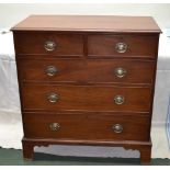 A 19TH CENTURY MAHOGANY CHEST OF TWO SHORT OVER THREE LONG DRAWERS, brass oval back stamp handles on