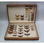 DAVID L. KENINGALE A COLLECTION OF 55 QUALITY EARLY BRITISH MOTHS, with full data by recognised