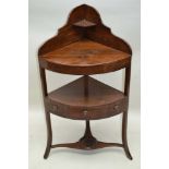 A 19TH CENTURY MAHOGANY FINISHED CORNER WASHSTAND, having solid upper section, three drawer