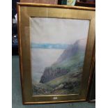 LORENZO HEDLEY A LARGE FRAMED WATERCOLOUR mounted on canvas, of The Bird Sanctuary, Brean Down,