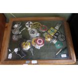 A SOFTWOOD FRAMED GLAZED TOPPED DISPLAY CASE containing a selection of motor vehicle badges &