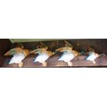 FOUR BESWICK FLYING MALLARDS