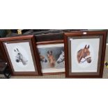 A SELECTION OF EQUINE PORTRAITS in mahogany finished frames