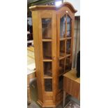 A DUTCH DESIGN PINE FRAMED GLAZED DISPLAY UNIT with single archtop door over single drawer