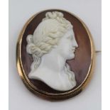 A VICTORIAN OVAL SHELL CAMEO BROOCH set in in a plain 9ct gold frame, classical female bust facing