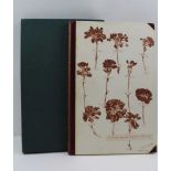 MORETON, C OSCAR 'Old Carnations and Pinks', limited edition no.24, signed by the illustrator and